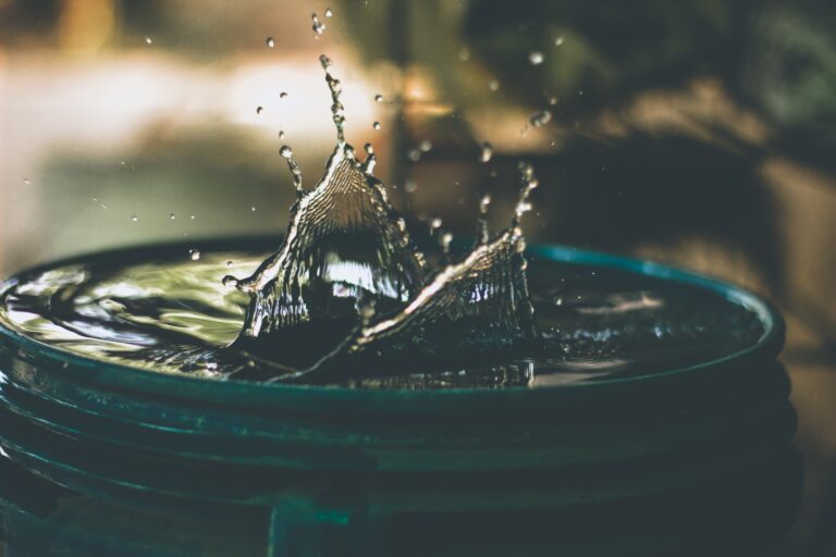 Choosing the Right Water Purifier for Your Wilderness Adventures